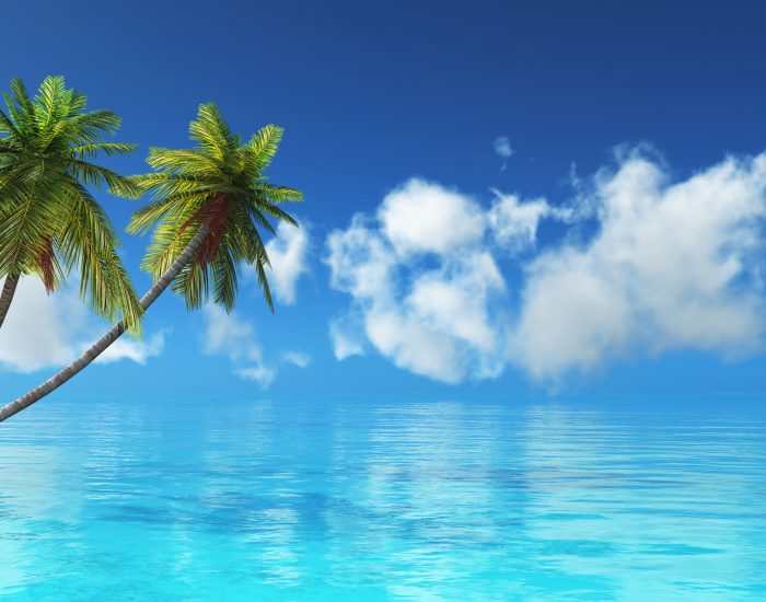 3D render of a tropical landscape with palm trees and blue sea